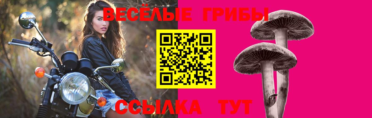 Карталы  Псилоцибиновые грибы мицелий  Вход с VPN  где купить наркоту  Псилоцибиновые грибы Cubensis 